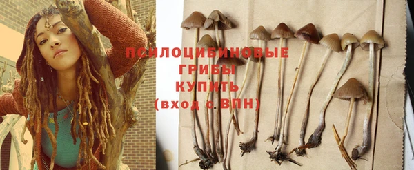 винт Гусиноозёрск