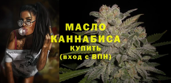 ешки Гусь-Хрустальный