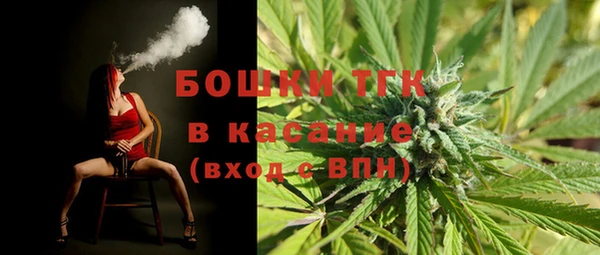 винт Гусиноозёрск