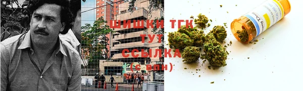 ешки Гусь-Хрустальный
